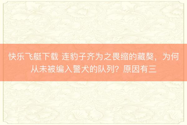 快乐飞艇下载 连豹子齐为之畏缩的藏獒，为何从未被编入警犬的队列？原因有三