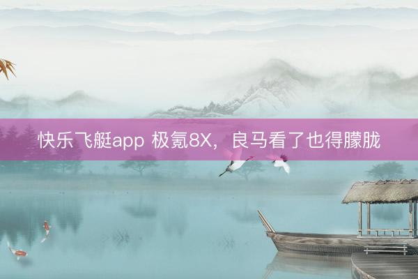 快乐飞艇app 极氪8X，良马看了也得朦胧