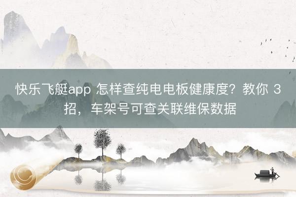 快乐飞艇app 怎样查纯电电板健康度？教你 3 招，车架号可查关联维保数据