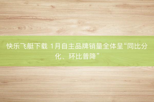 快乐飞艇下载 1月自主品牌销量全体呈“同比分化、环比普降”