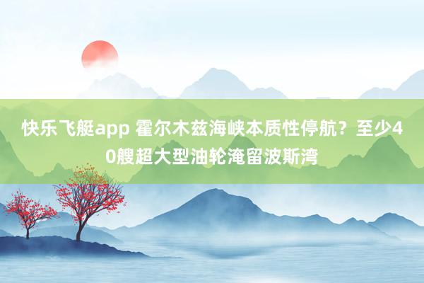 快乐飞艇app 霍尔木兹海峡本质性停航？至少40艘超大型油轮淹留波斯湾