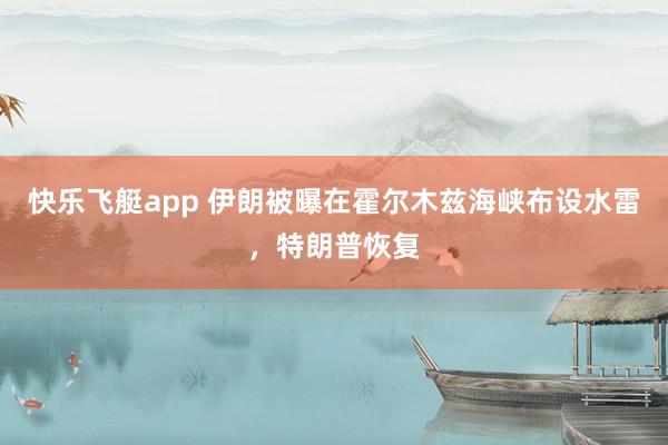 快乐飞艇app 伊朗被曝在霍尔木兹海峡布设水雷，特朗普恢复