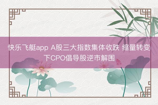 快乐飞艇app A股三大指数集体收跌 缩量转变下CPO倡导股逆市解围
