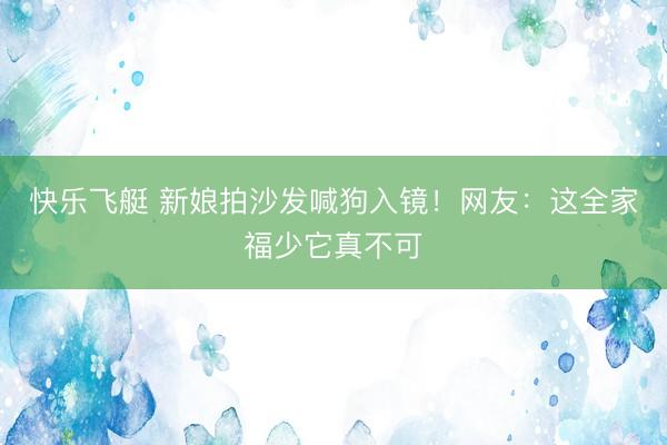 快乐飞艇 新娘拍沙发喊狗入镜！网友：这全家福少它真不可